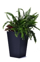 Rattan planter M - grafit