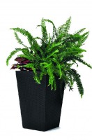 Rattan planter S - grafit